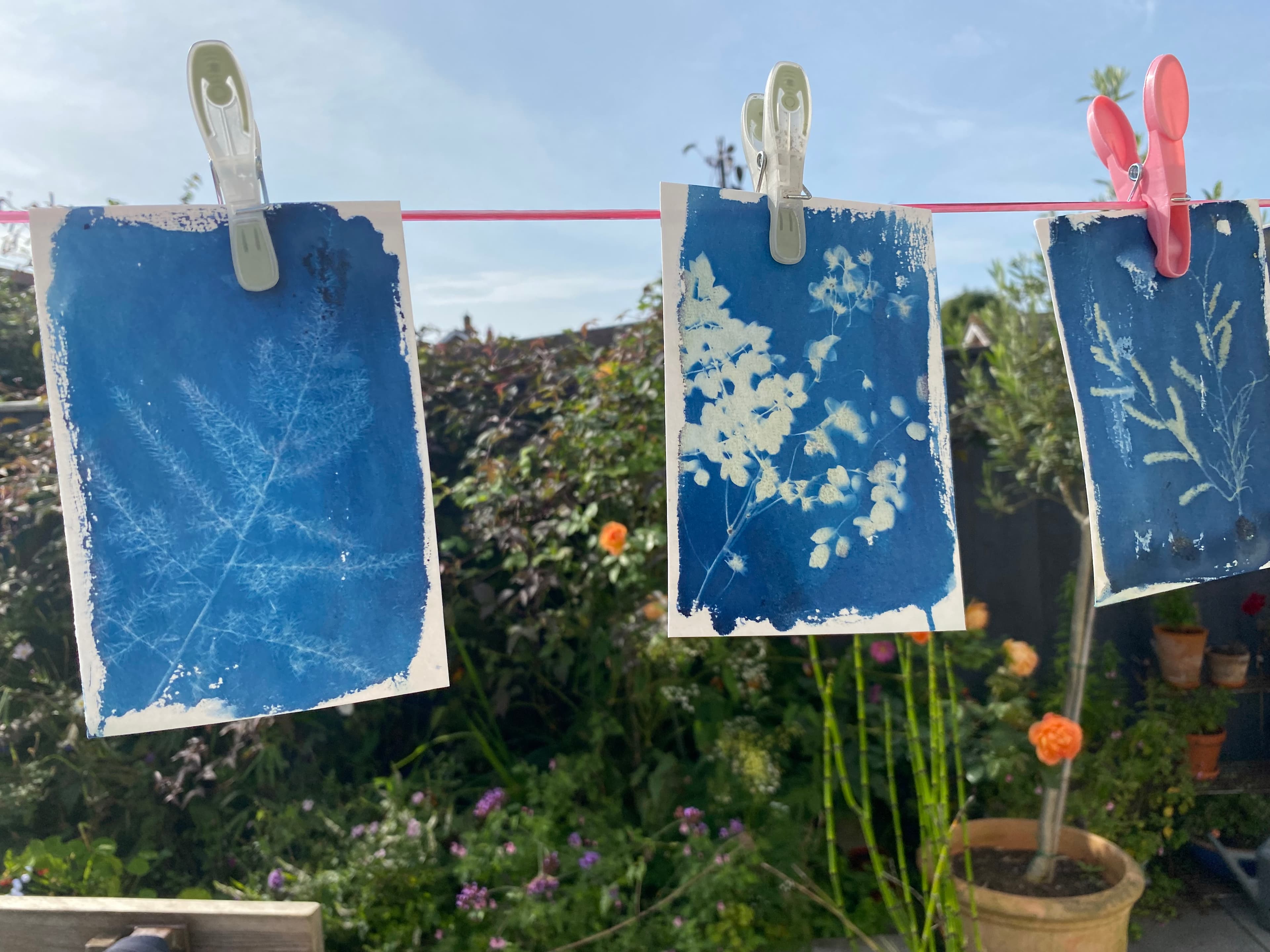 The Children of Ilfracombe Junior School artwork