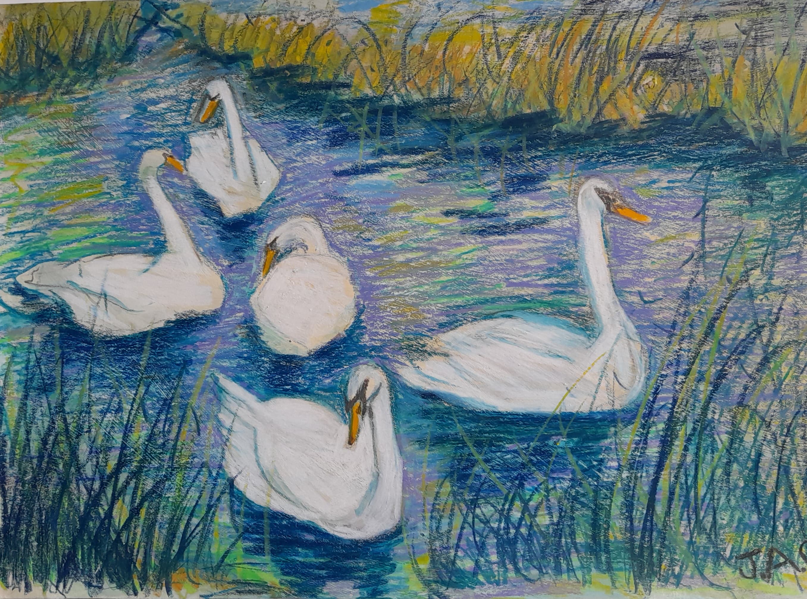 Julie Anne Cook artwork