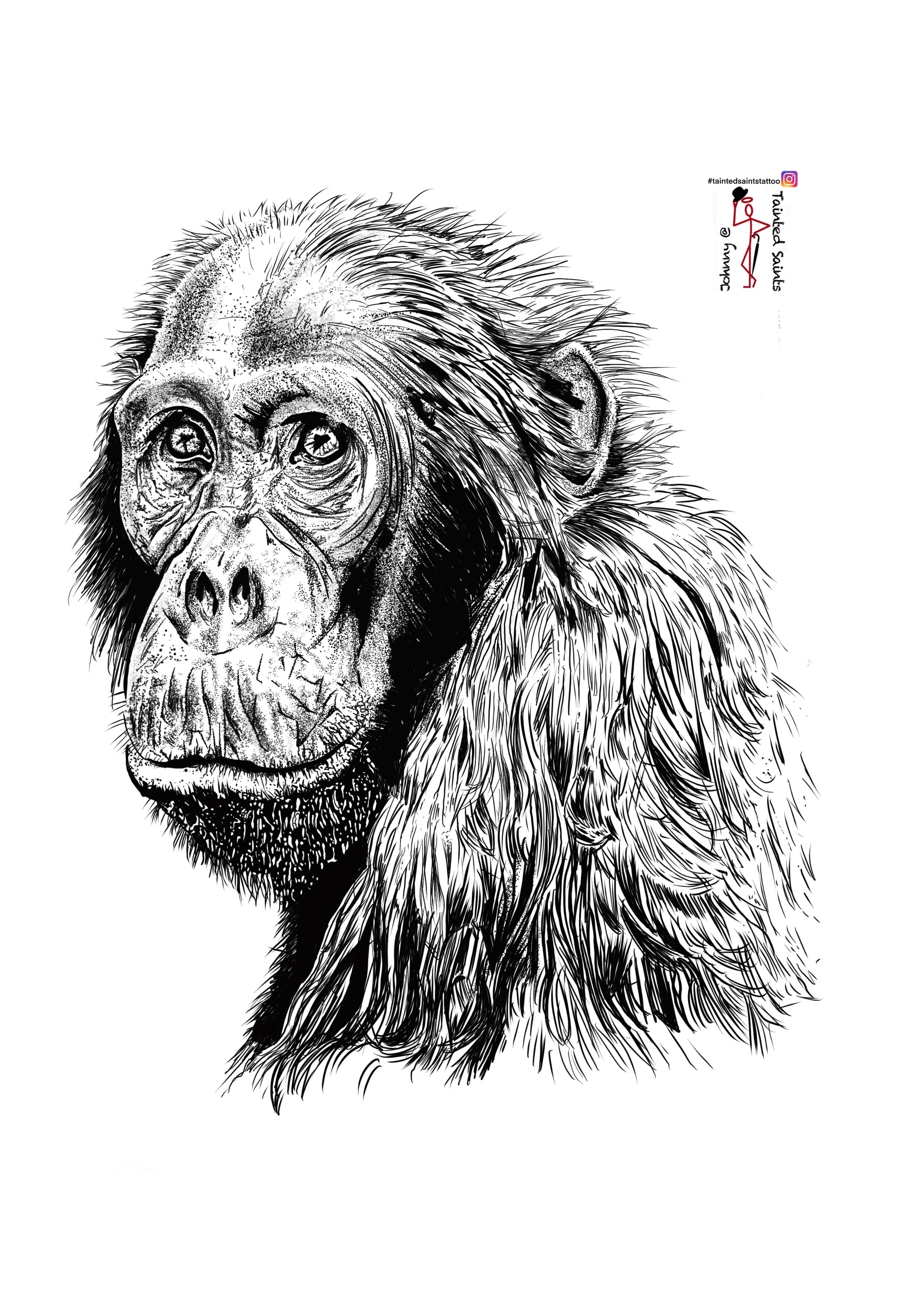 John Williams artwork